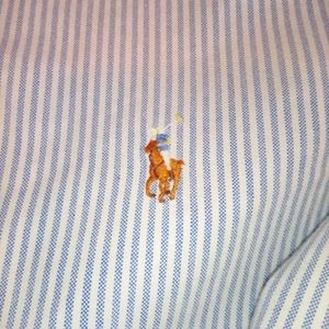 Polo Ralph Lauren button up/ button down classic